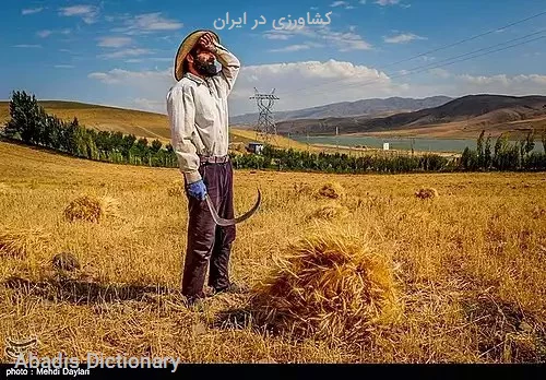 کشاورزی در ایران